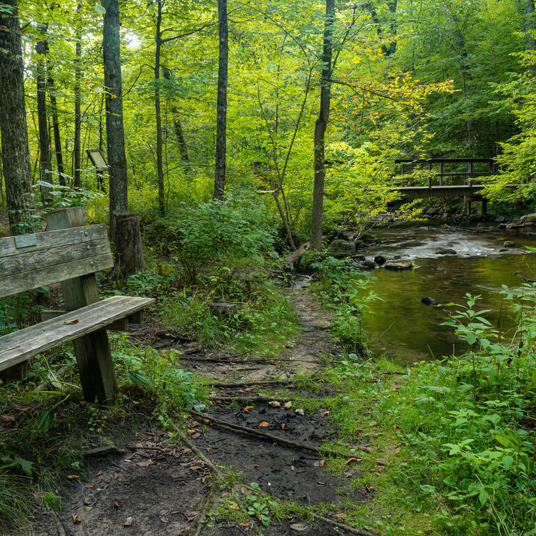portfolio image in the nature-and-landscape category