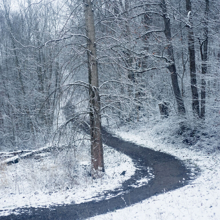 portfolio image in the nature-and-landscape category
