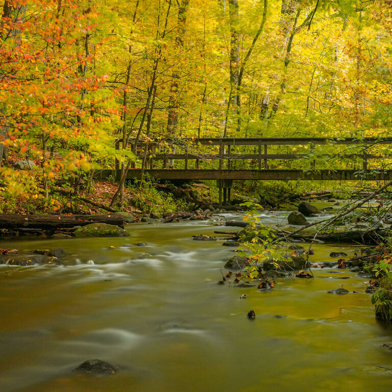 portfolio image in the nature-and-landscape category