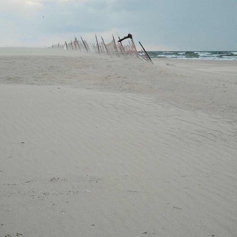 portfolio image in the other category