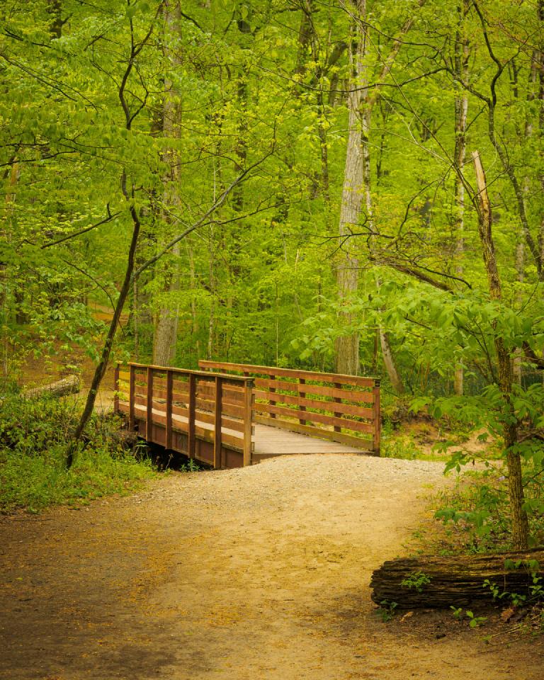 gal_aman-park 15.jpg