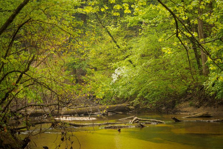 gal_aman-park 24.jpg