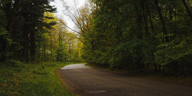 gal_aman-park 32.jpg
