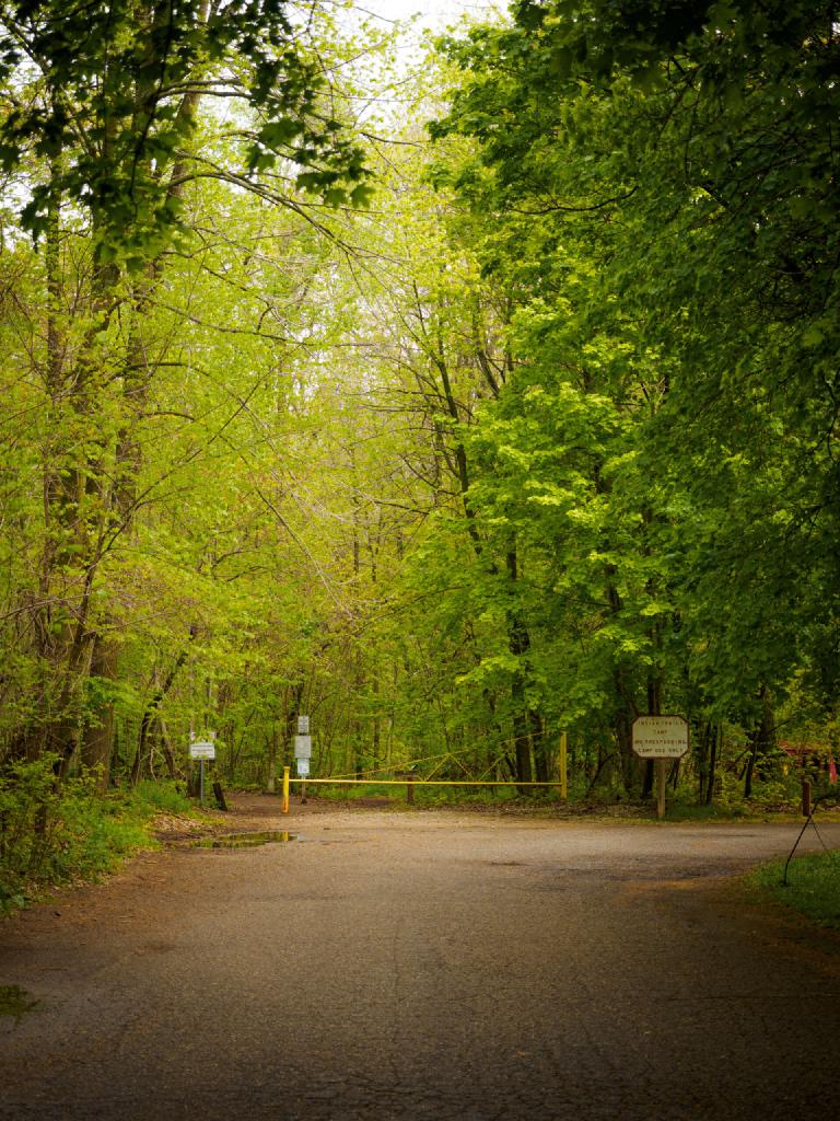 gal_aman-park 3.jpg