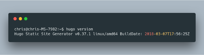 hugo version return