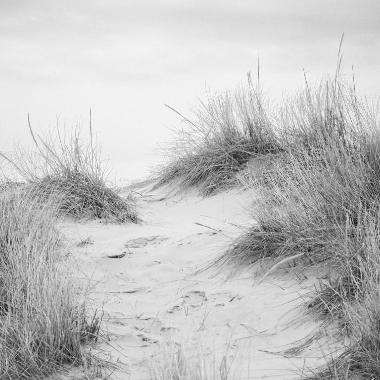 gal_monochrome-march (12).jpg