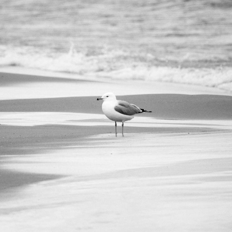 gal_monochrome-march (14).jpg