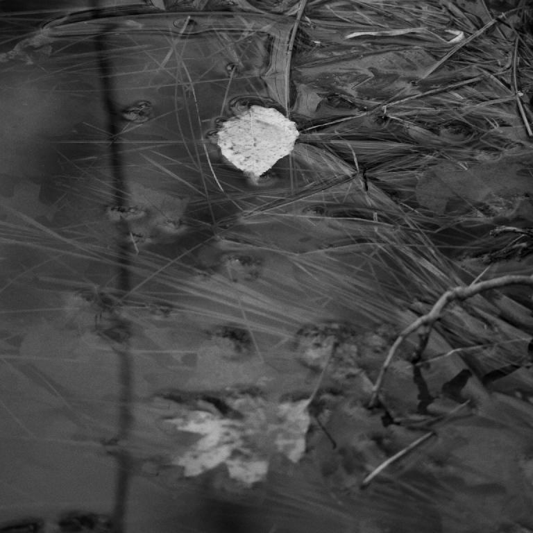 gal_monochrome-march (17).jpg