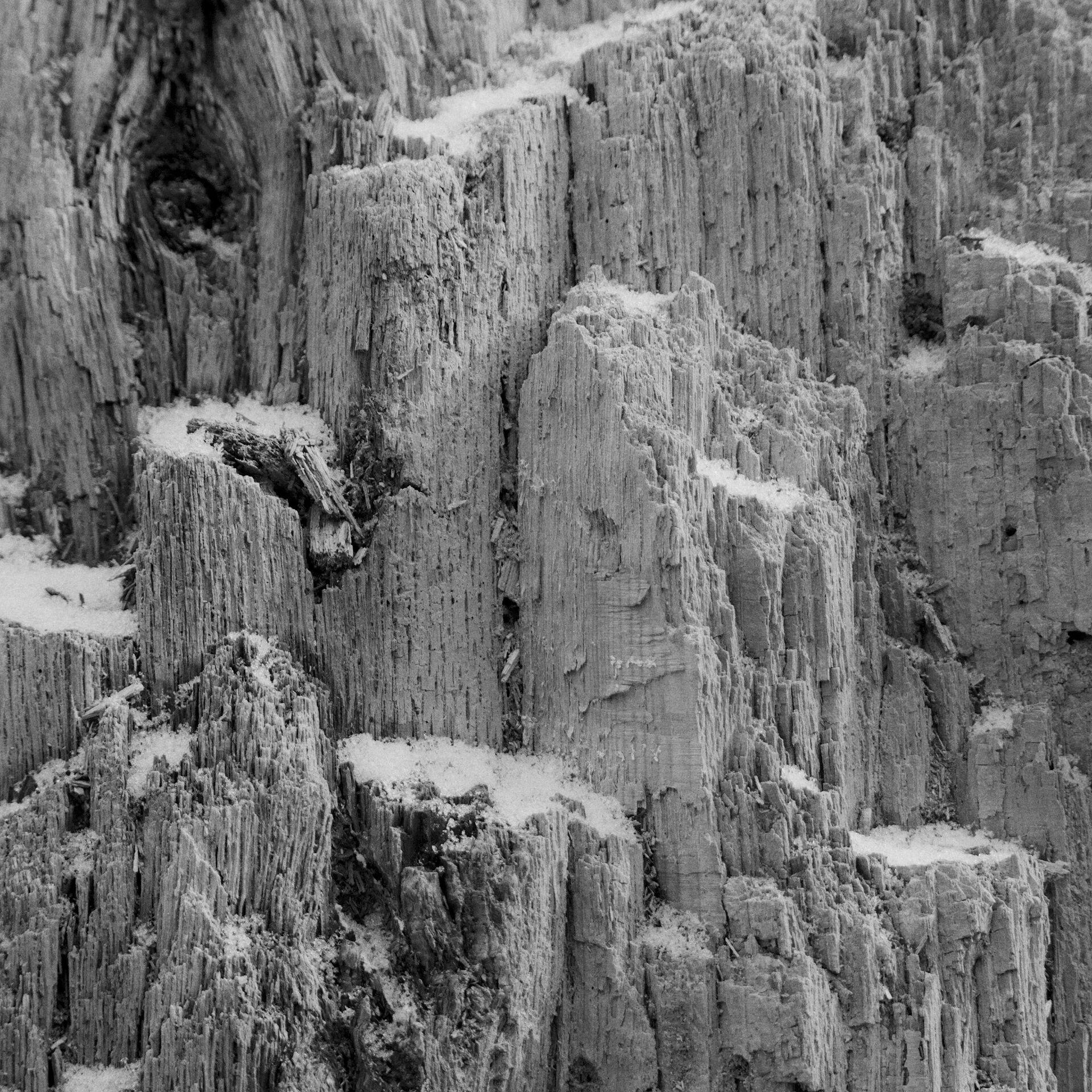 gal_monochrome-march (20).jpg