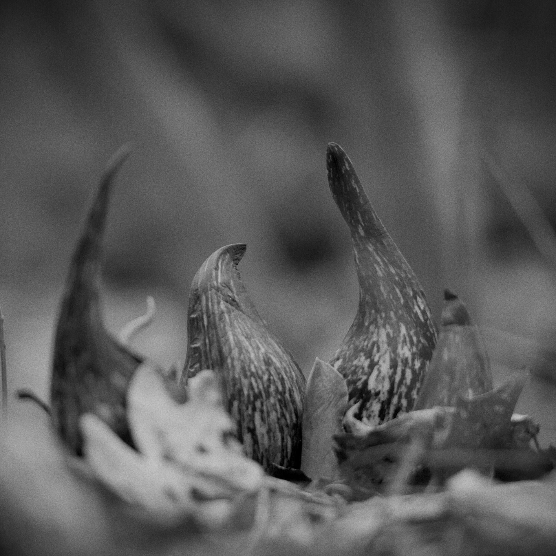 gal_monochrome-march (21).jpg