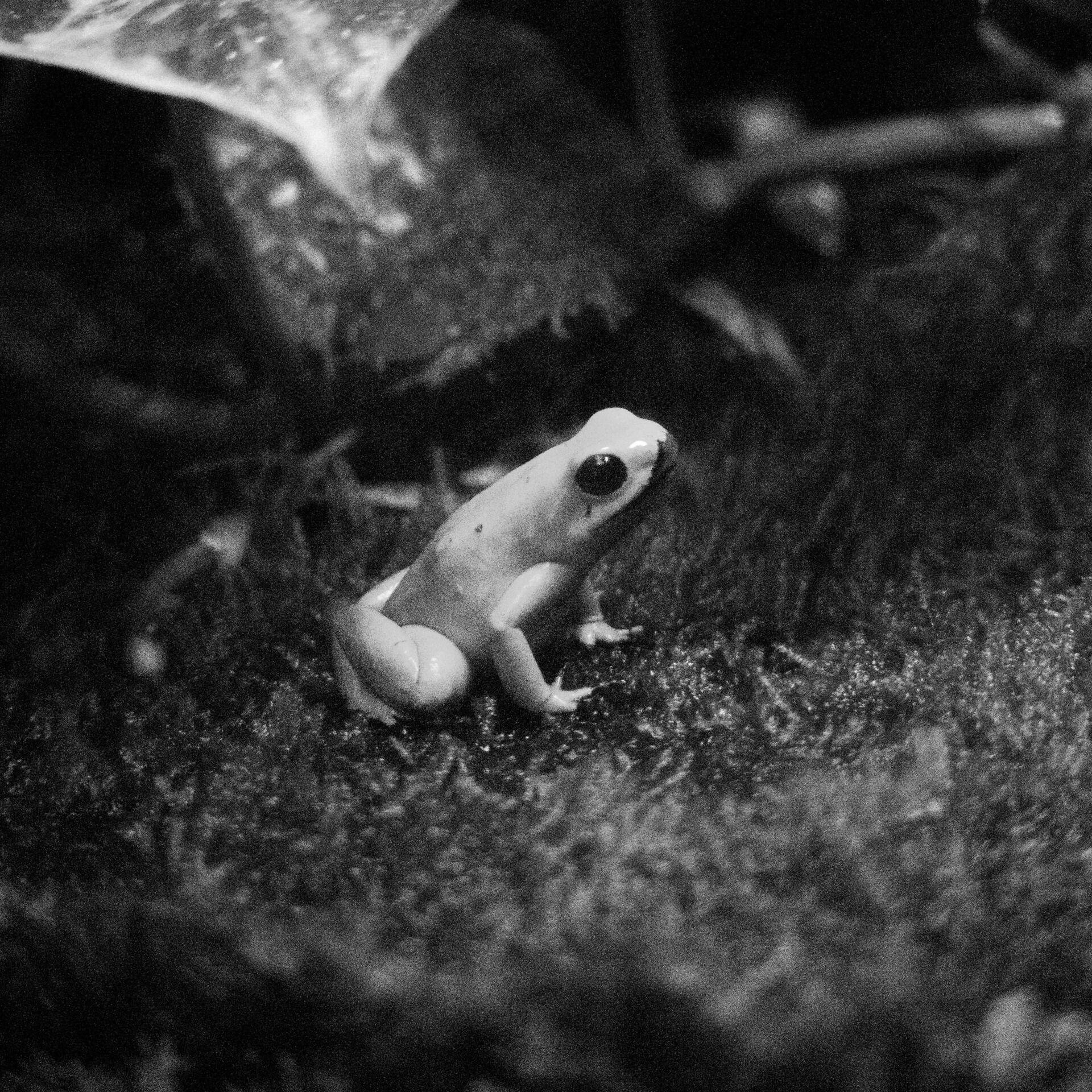 gal_monochrome-march (26).jpg