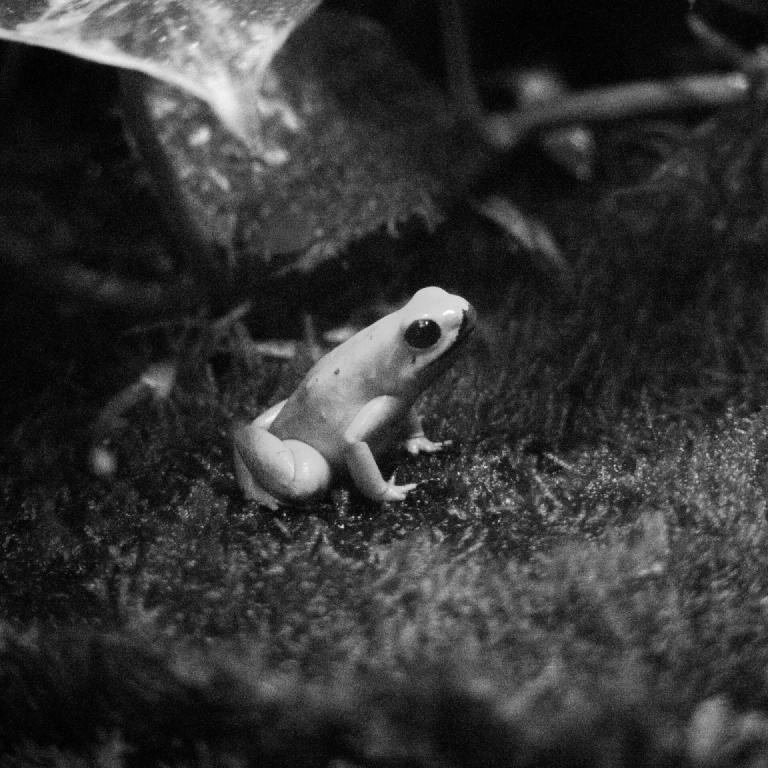 gal_monochrome-march (26).jpg