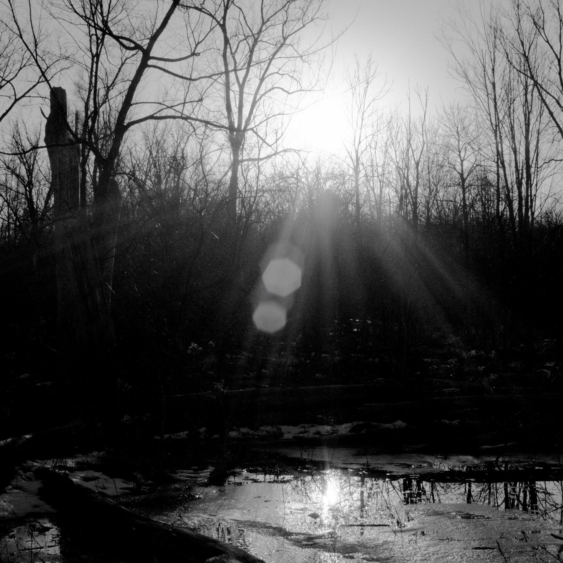 gal_monochrome-march (32).jpg