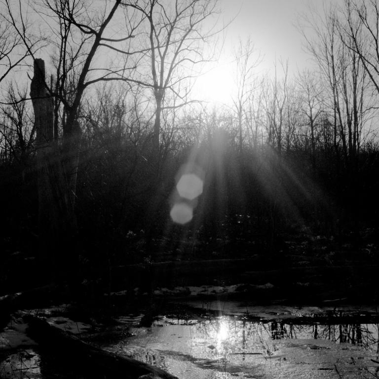 gal_monochrome-march (32).jpg