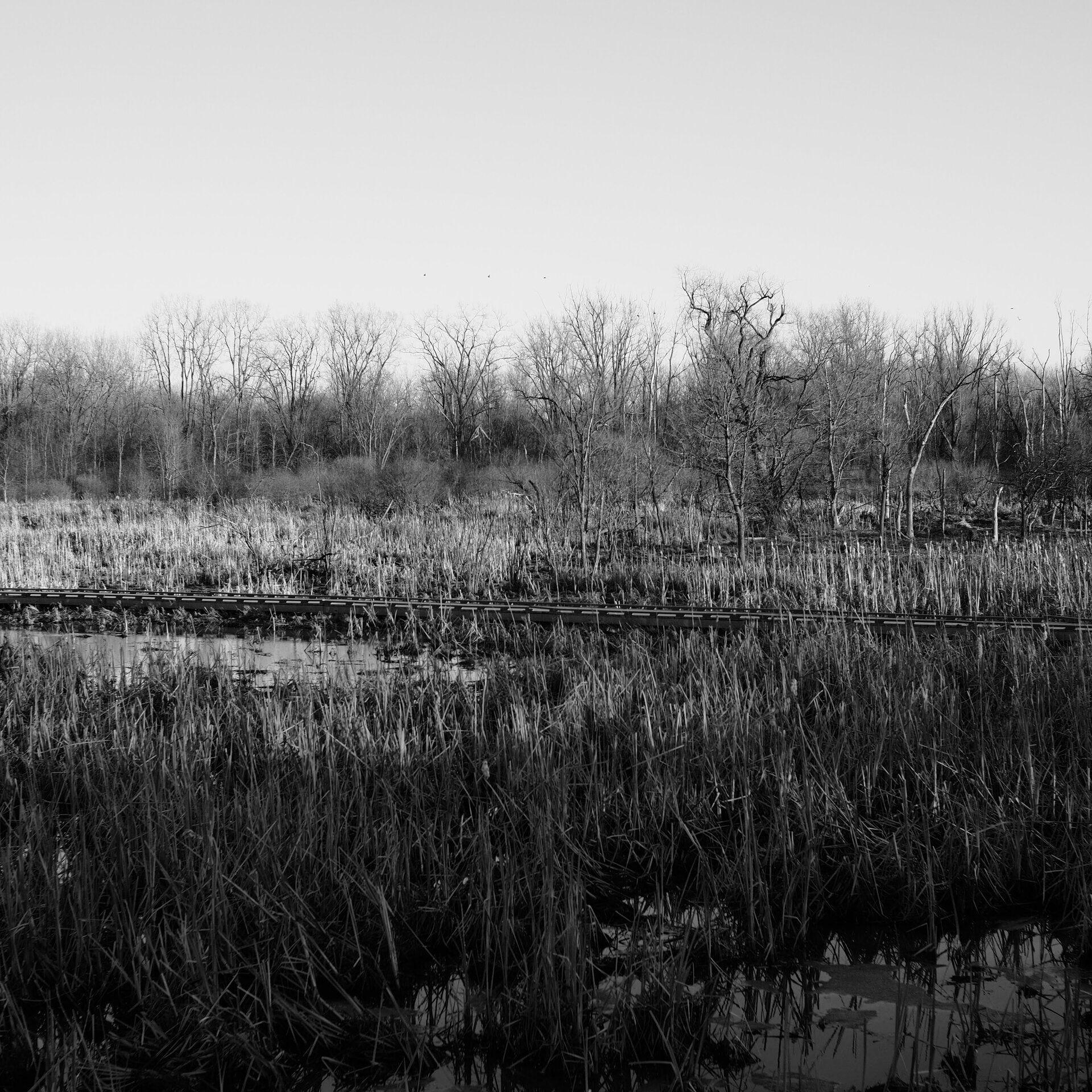 gal_monochrome-march (33).jpg