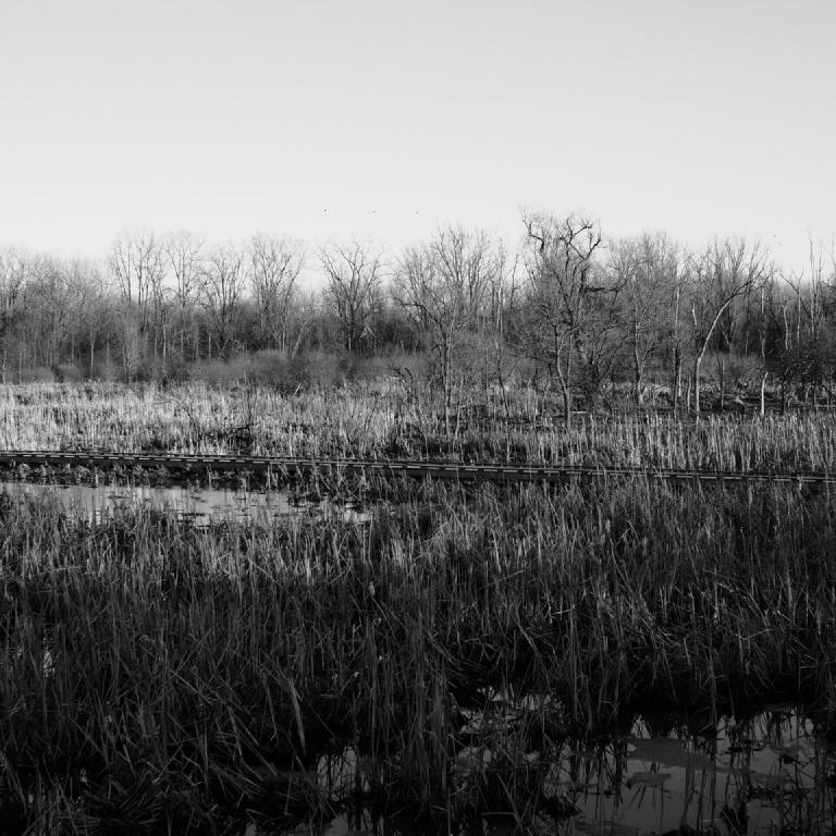 gal_monochrome-march (33).jpg