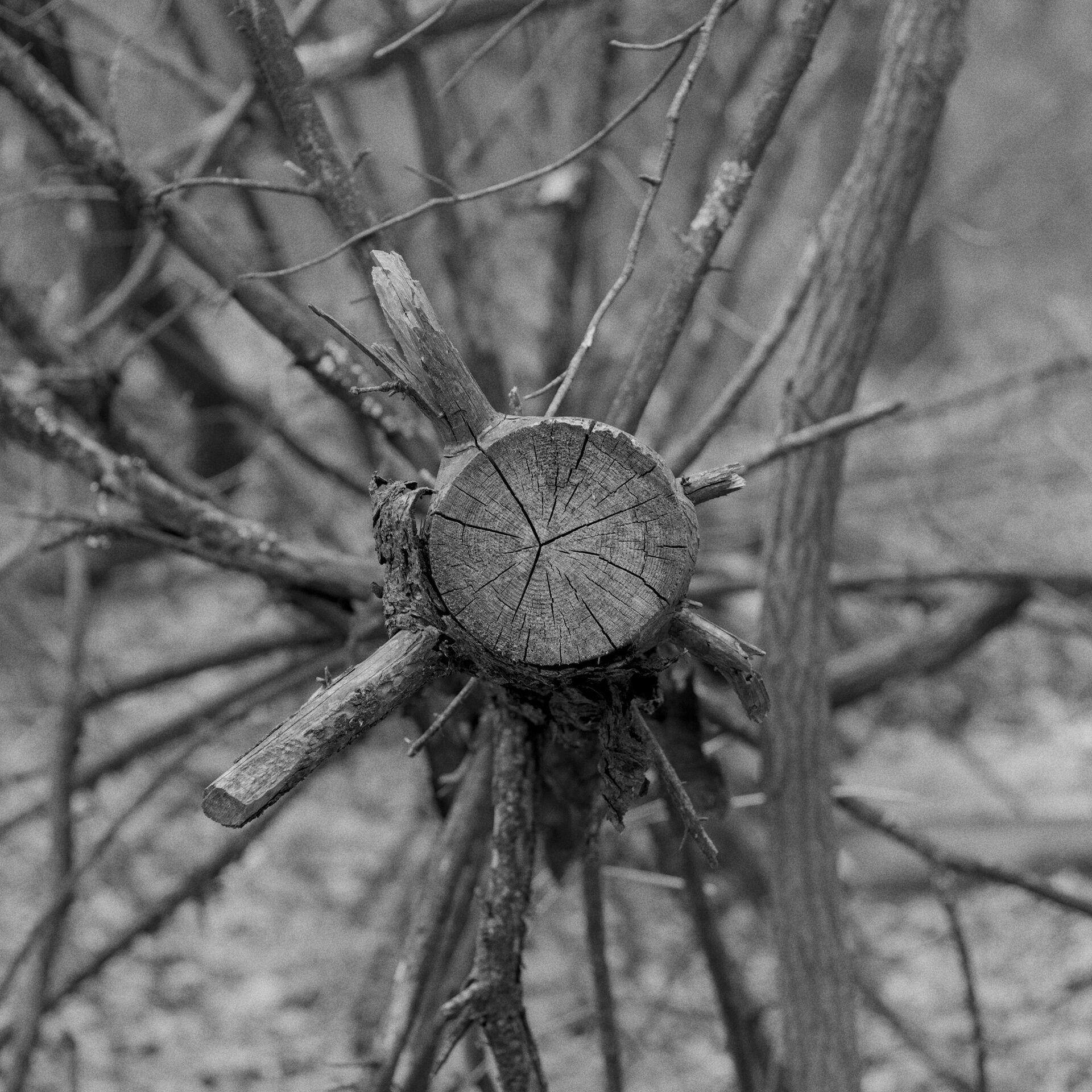 gal_monochrome-march (4).jpg