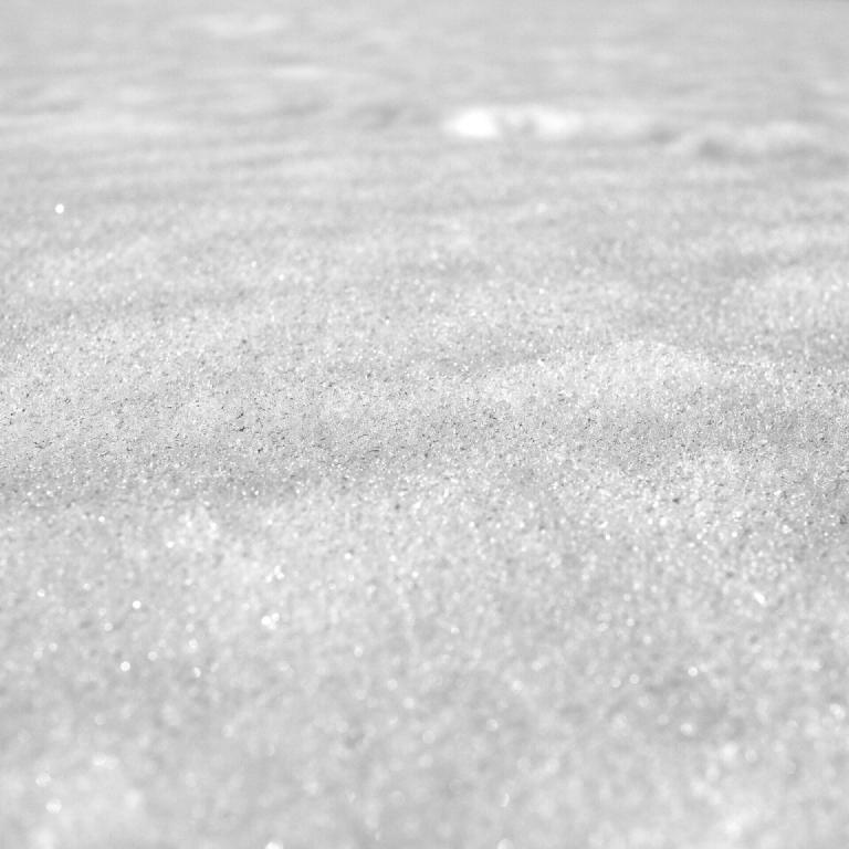 gal_monochrome-march (42).jpg