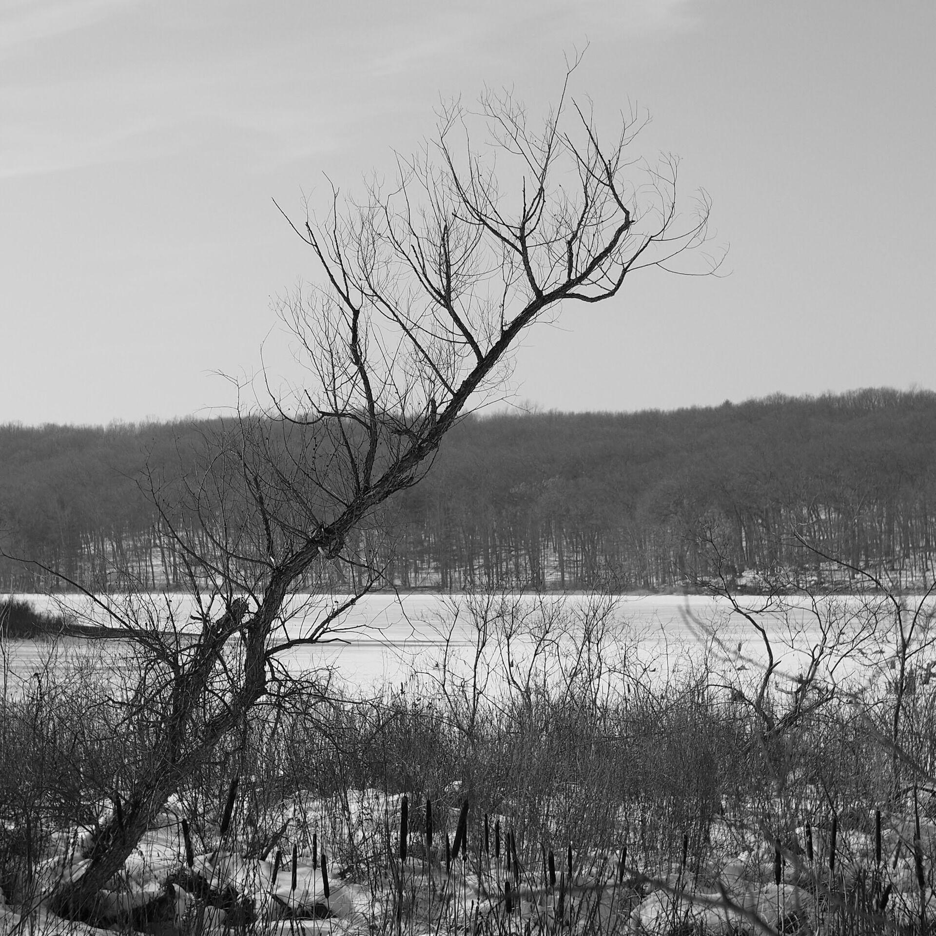 gal_monochrome-march (48).jpg