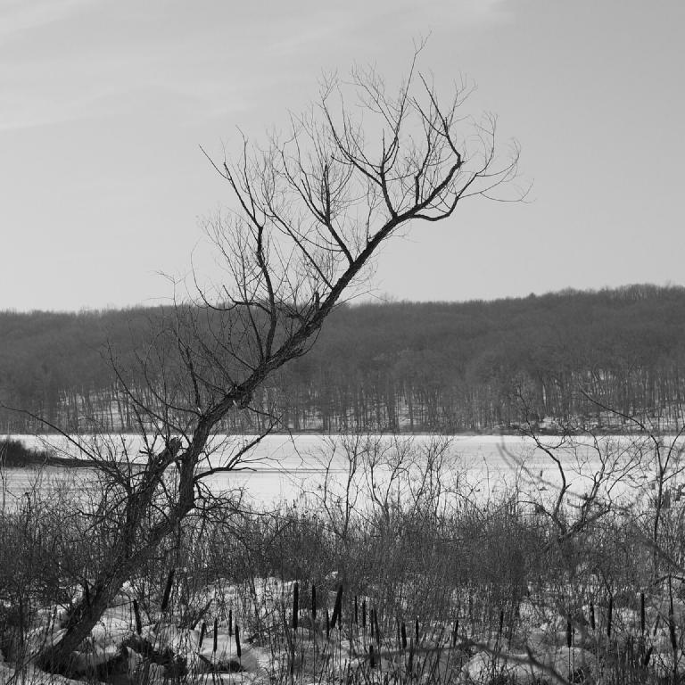 gal_monochrome-march (48).jpg