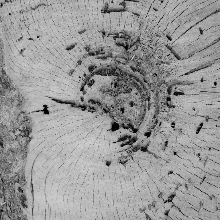 gal_monochrome-march (5).jpg