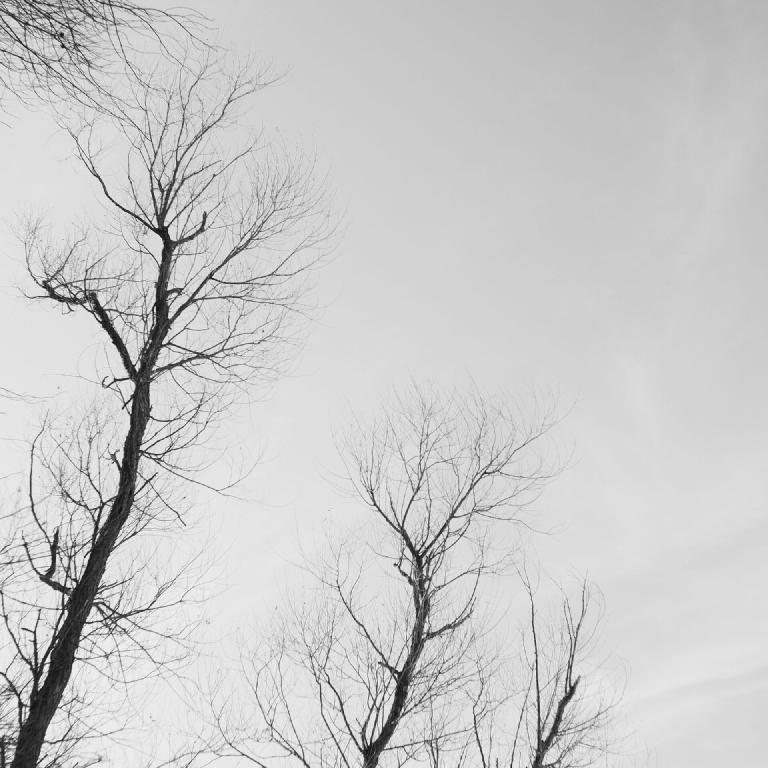 gal_monochrome-march (50).jpg