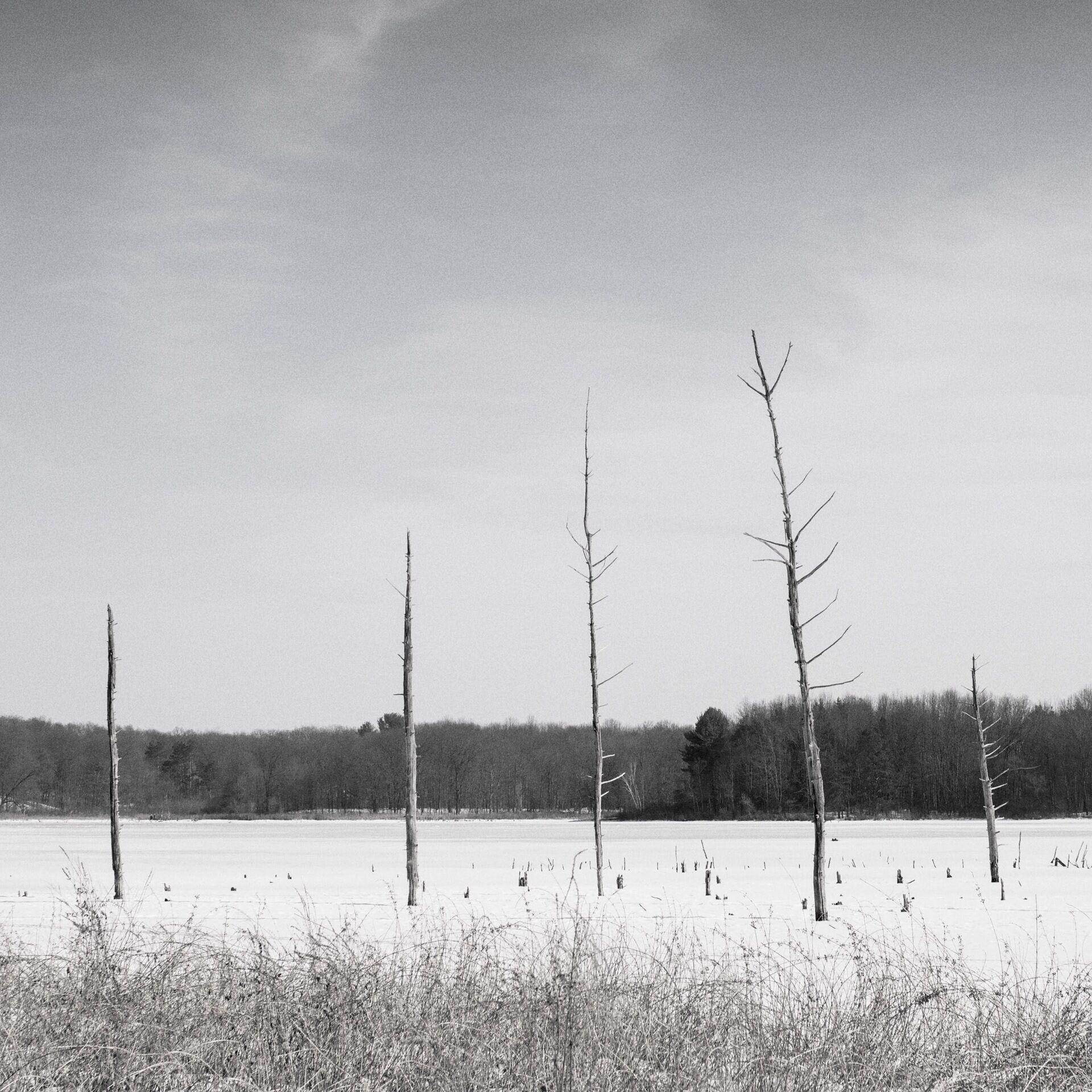 gal_monochrome-march (52).jpg