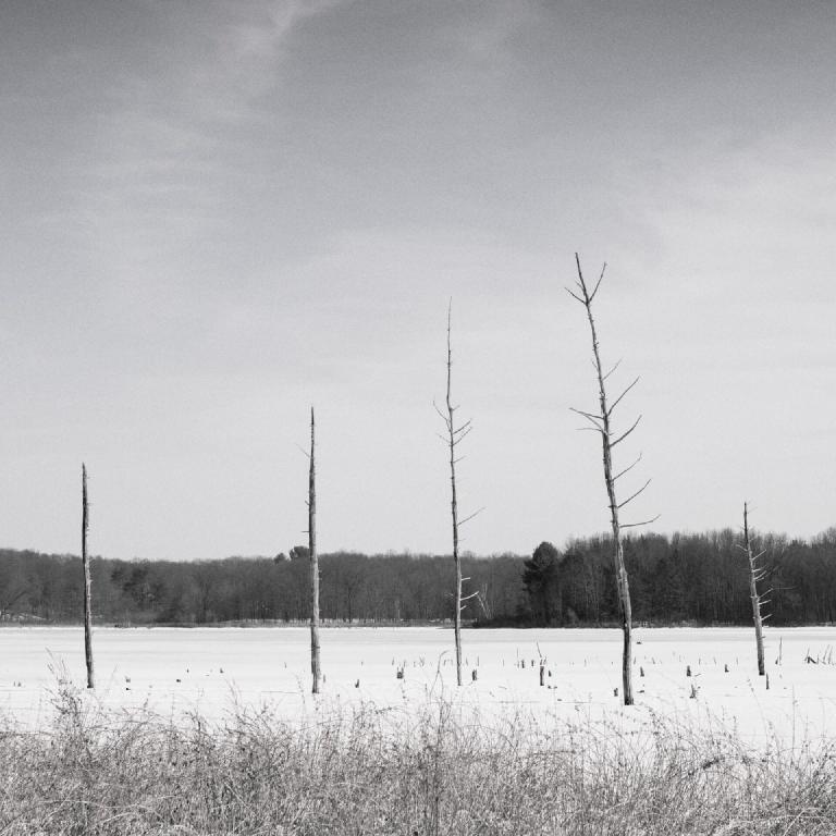 gal_monochrome-march (52).jpg