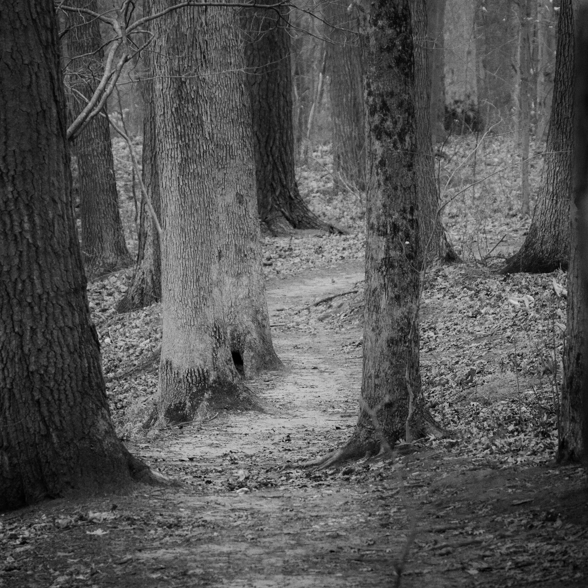 gal_monochrome-march (55).jpg