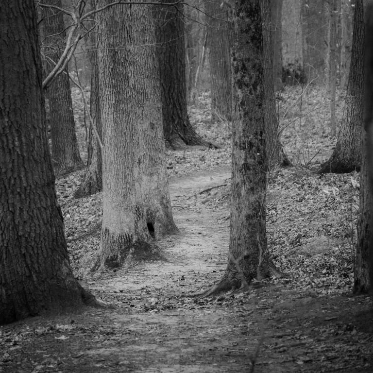 gal_monochrome-march (55).jpg