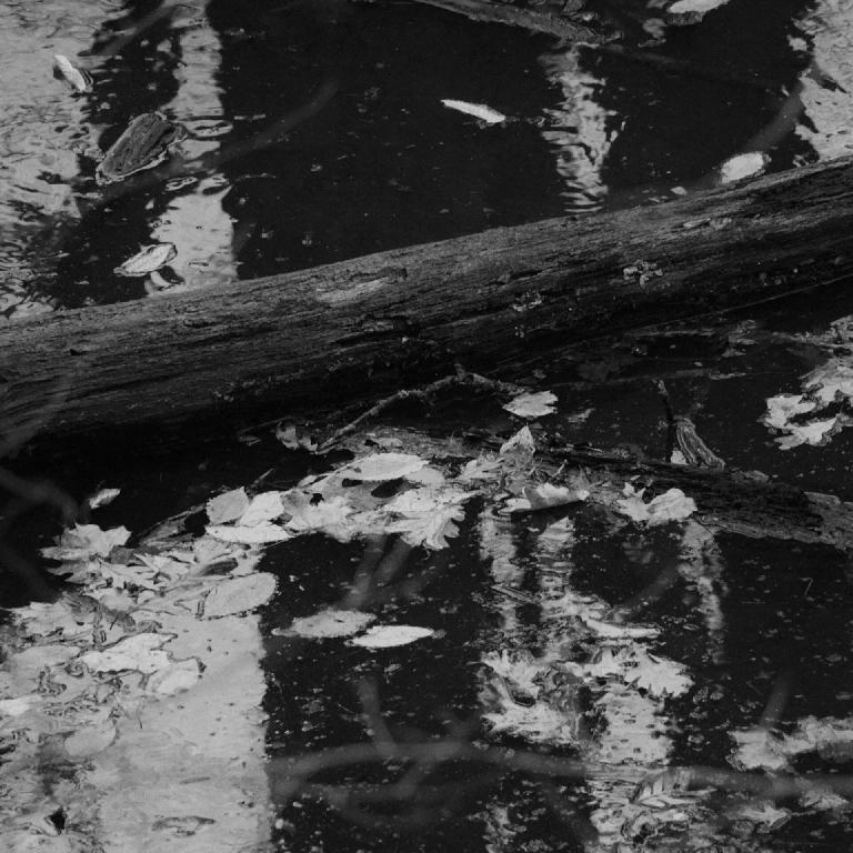 gal_monochrome-march (56).jpg