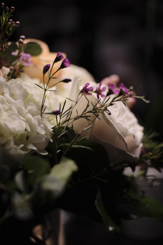 a close-up of white and purple flowers