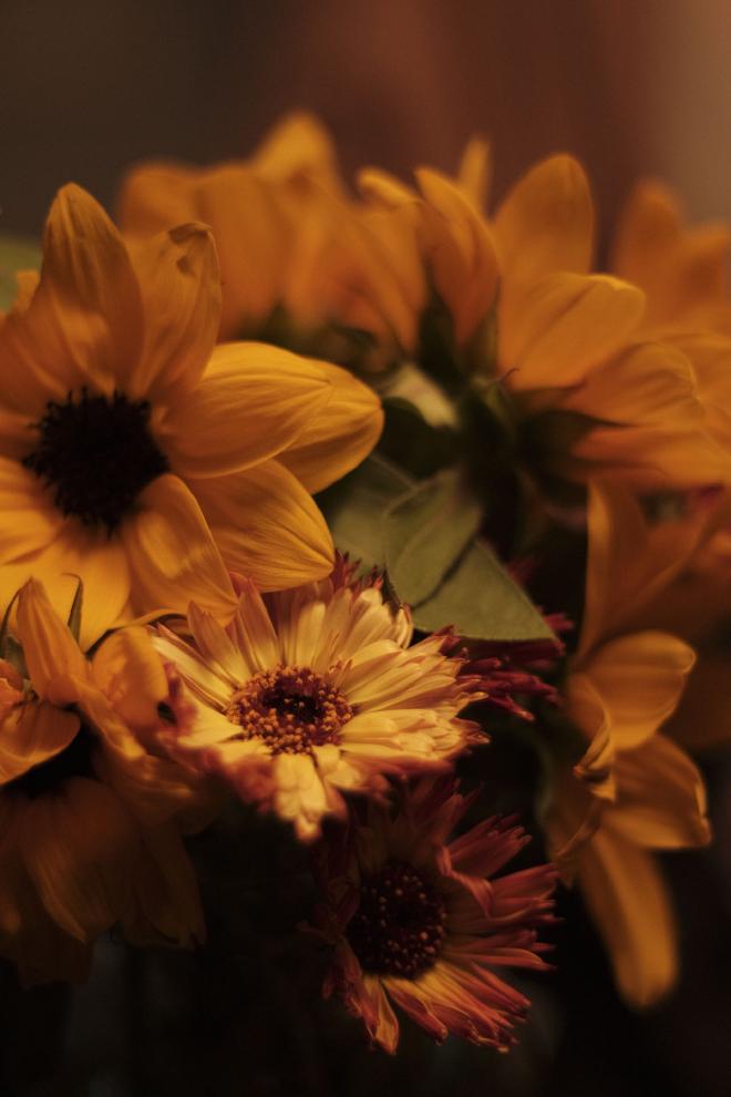 a close up of sunflowers and other orange and yellow flowers